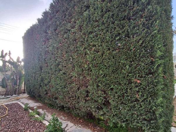 4 bedroom detached house for sale latsia nicosia 8639995 image 15912153