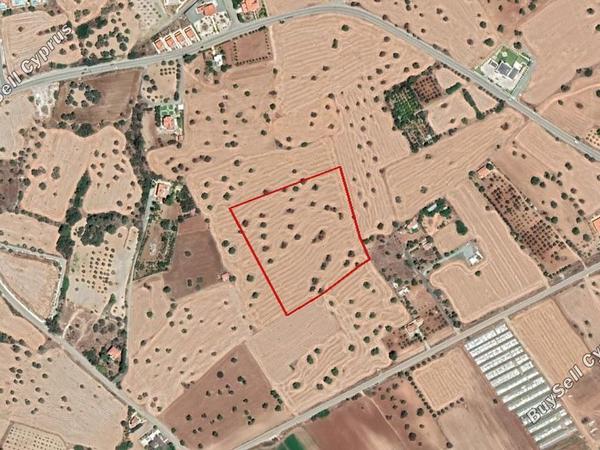 land for sale mazotos larnaca 834995 image 13669185