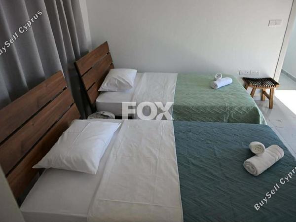 3 bedroom detached house for rent steni paphos 8926006 image 17601520