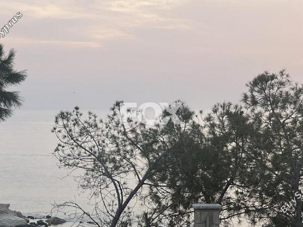 plot for sale saint george peyia paphos 7962006 image 14979650