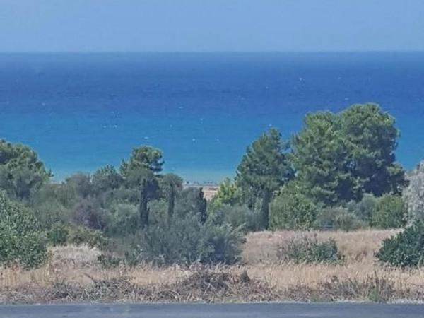 land for sale argaka paphos 7739106 image 10210845