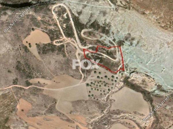 land for sale armou paphos 1159106 image 5517765