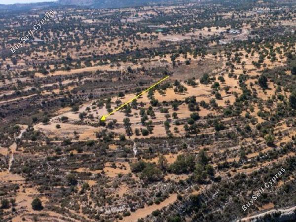 land for sale pachna limassol 1369106 image 17364567