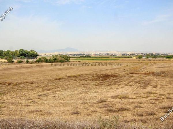 land for sale pervolia larnaca 7543106 image 10011478