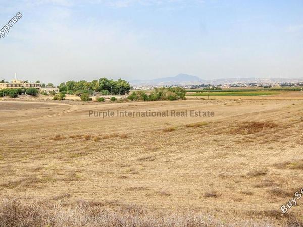 land for sale pervolia larnaca 7543106 image 10011480