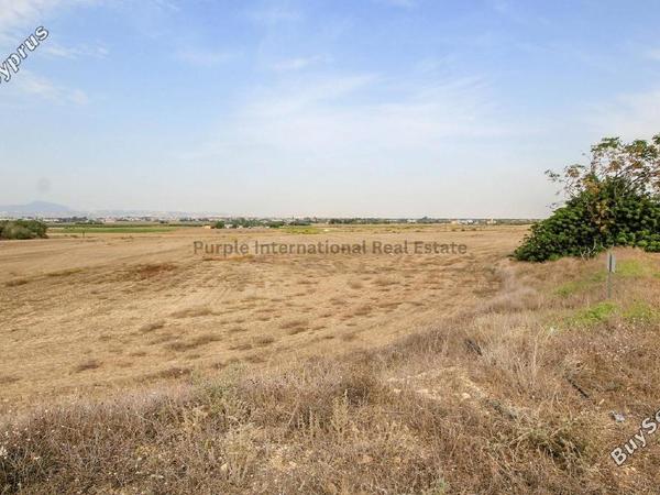 land for sale pervolia larnaca 7543106 image 10011482