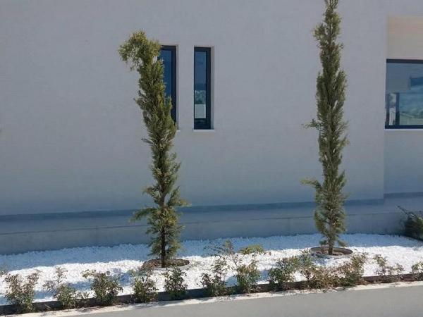 2 bedroom bungalow for rent agios tychonas limassol 8963206 image 17825008
