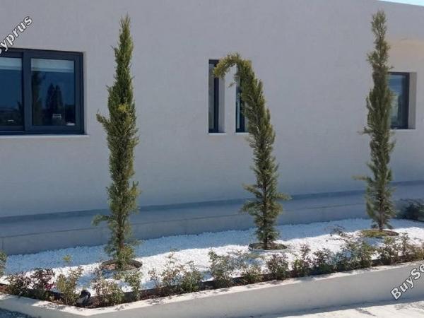 2 bedroom bungalow for rent agios tychonas limassol 8963206 image 17825009