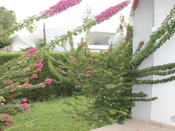 4 bedroom detached house for sale aglantzia nicosia 1592206 image 16242789