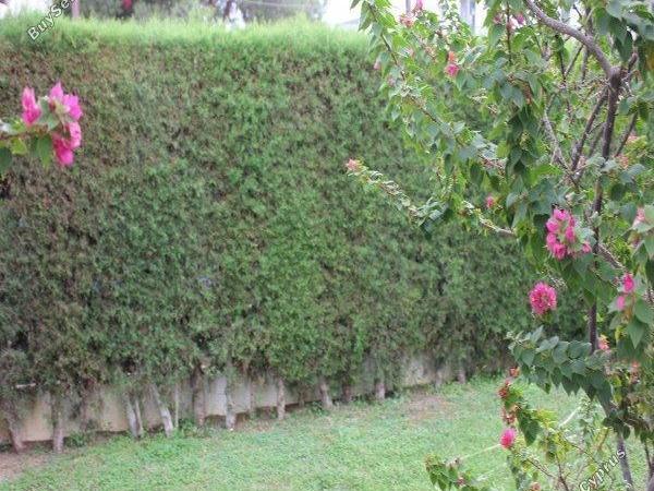 4 bedroom detached house for sale aglantzia nicosia 1592206 image 16242790