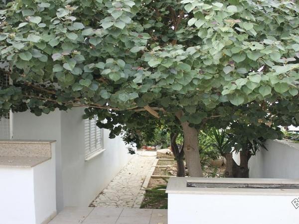4 bedroom detached house for sale aglantzia nicosia 1592206 image 16242791
