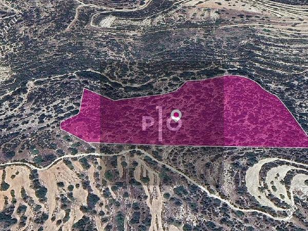 land for sale apesia limassol 8275206 image 15158296