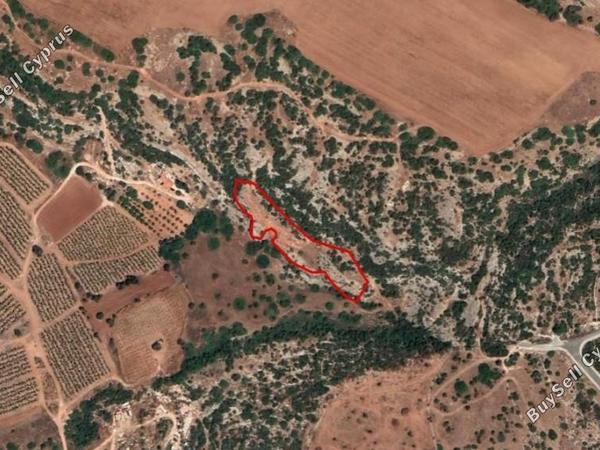 land for sale peyia paphos 1355206 image 15533345
