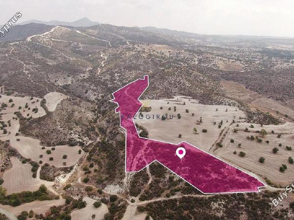 land for sale skarinou larnaca 1650206 image 15782592