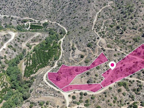 land for sale dierona limassol 8399306 image 15004376