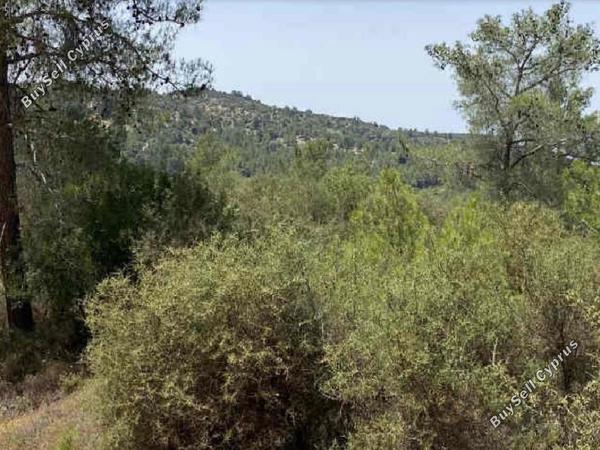 land for sale mousere paphos 1578306 image 15598200