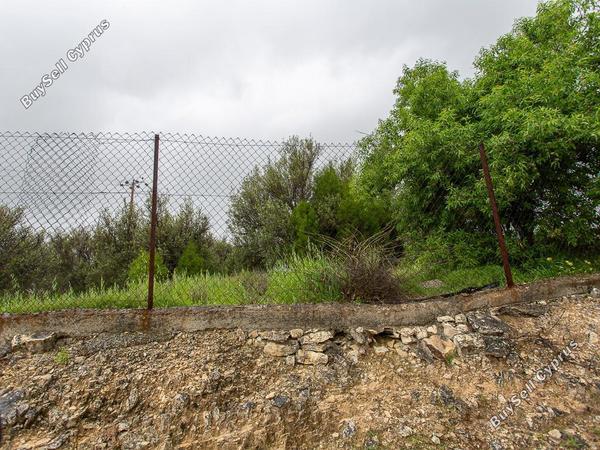 land for sale paramytha limassol 8463306 image 16992386