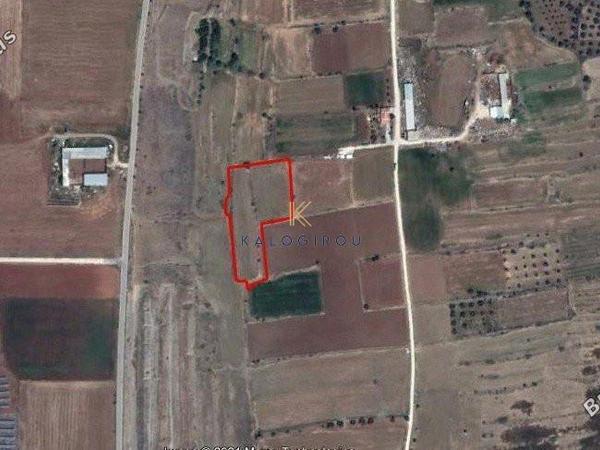 plot for sale orounta nicosia 1195306 image 5577225