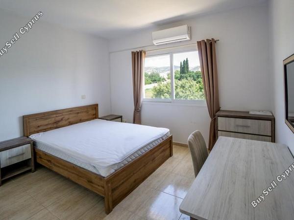 2 bedroom apartment for rent mesogi paphos 8716406 image 16298183