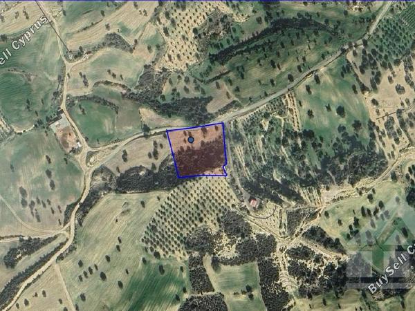 land for sale anafotida larnaca 7906406 image 16169089