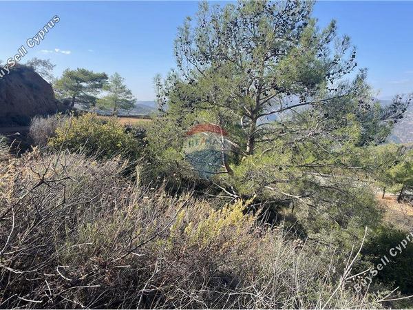 land for sale kellaki limassol 1503406 image 14143938