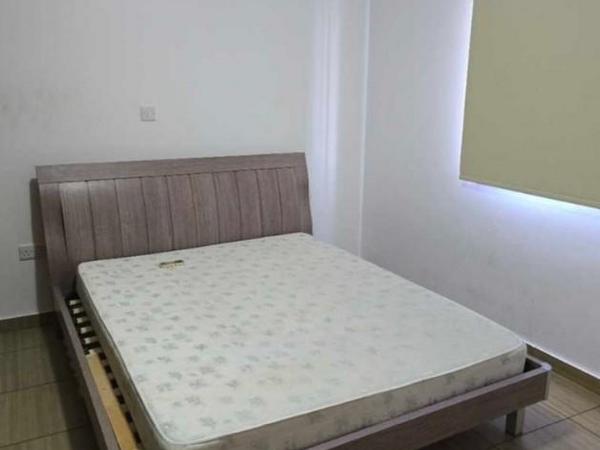 3 bedroom detached house for sale kolossi limassol 8434506 image 16259346