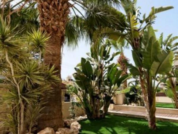 6 bedroom detached house for rent kato paphos universal paphos 8362506 image 14559976