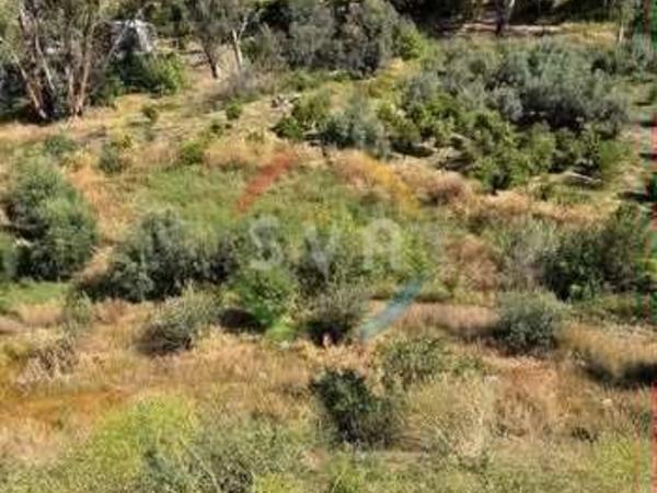 land for sale arakapas limassol 1770506 image 11340944
