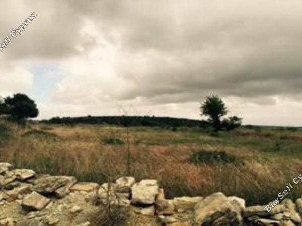 land for sale pachna limassol 7739506 image 16325622