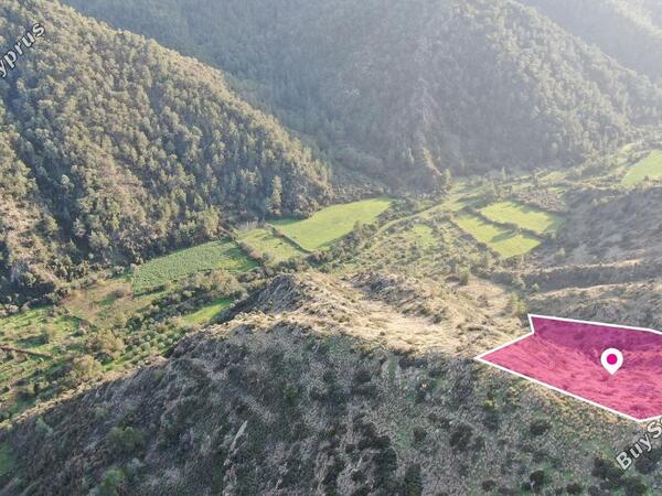 land for sale pigenia nicosia 1298506 image 2884896