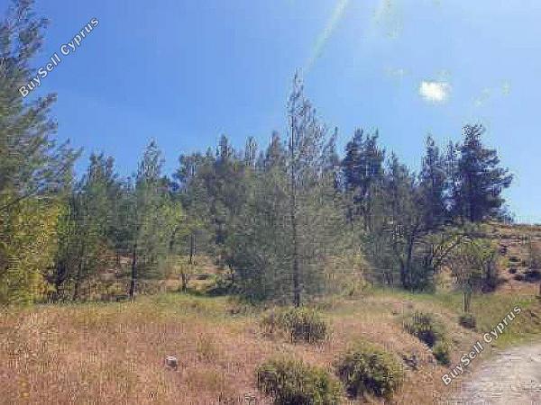 land for sale xyliatos nicosia 1387506 image 4841830