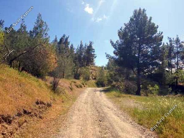 land for sale xyliatos nicosia 1387506 image 4841832