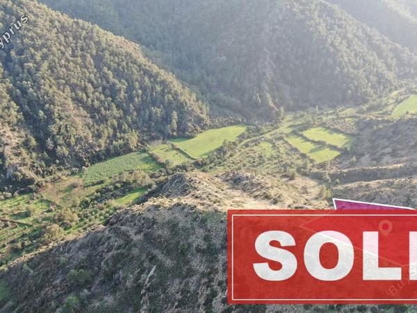 land sold pigenia nicosia 1298506 image 2884896