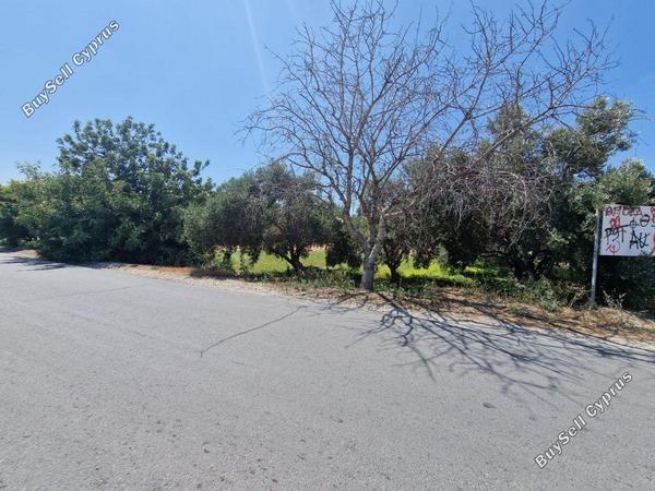 plot for sale emba paphos 1827506 image 6425656