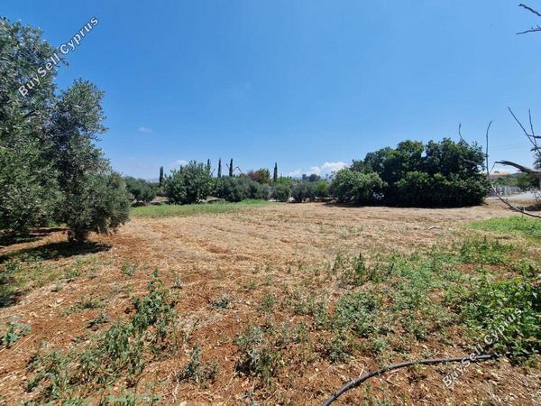 plot for sale emba paphos 1827506 image 6425659