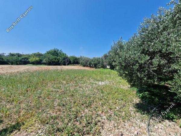 plot for sale emba paphos 1827506 image 6425662