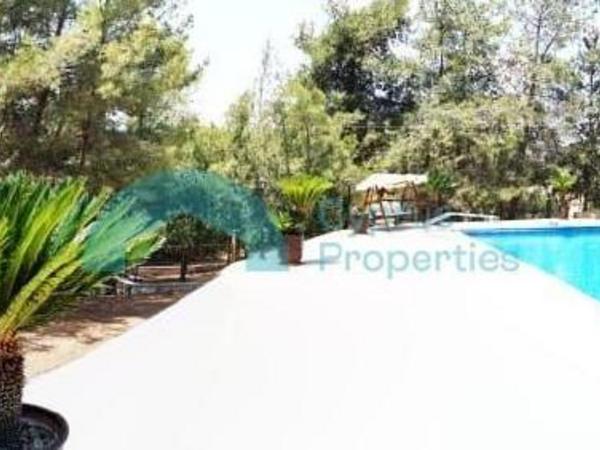 4 bedroom detached house for sale anglisides larnaca 914606 image 7635561