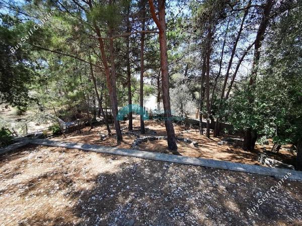 4 bedroom detached house for sale anglisides larnaca 914606 image 7635564