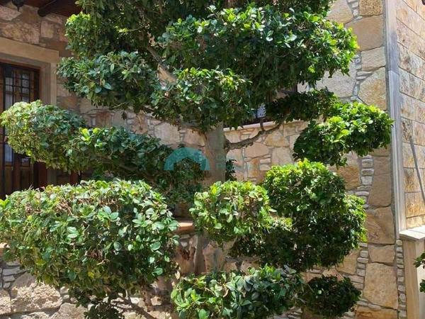 4 bedroom detached house for sale anglisides larnaca 914606 image 7635598