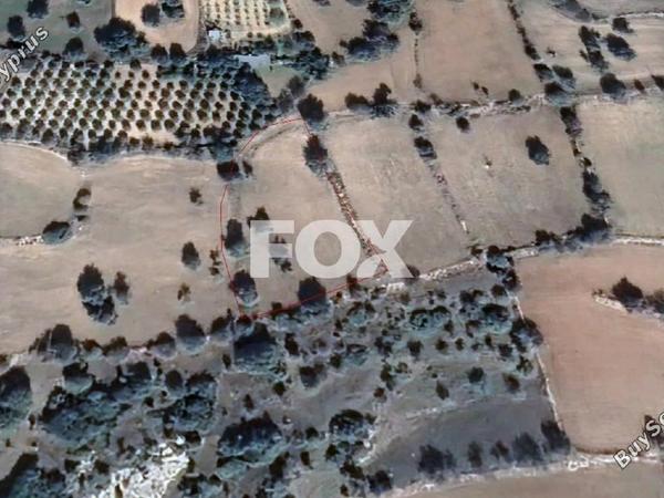 land for sale anogyra limassol 1160606 image 5546745