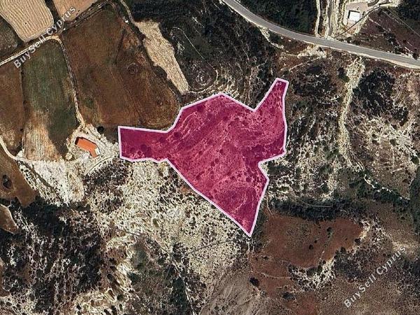 land for sale peyia paphos 8237606 image 14231241