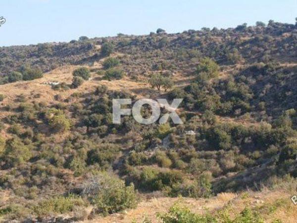 land for sale pissouri limassol 1146606 image 5523618