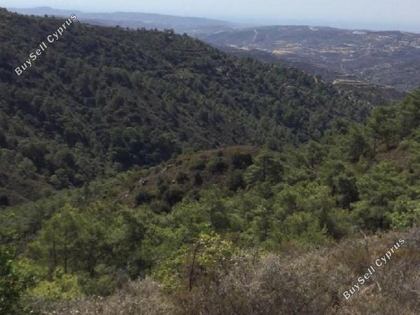 land for sale vavatsinia larnaca 1077606 image 1261642