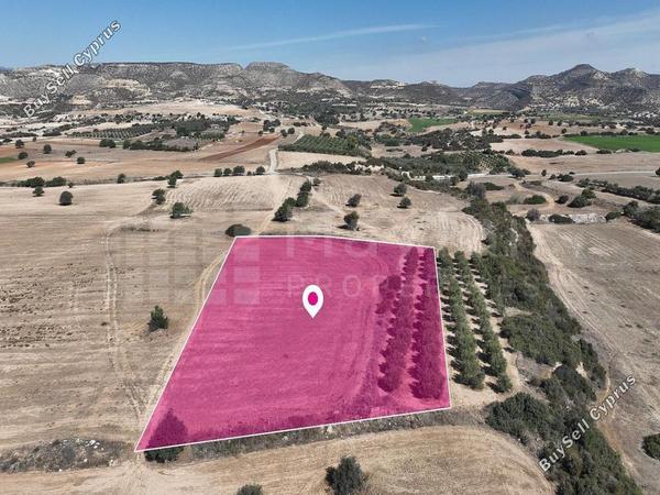 land for sale agios theodoros larnacas larnaca 7872706 image 13297775
