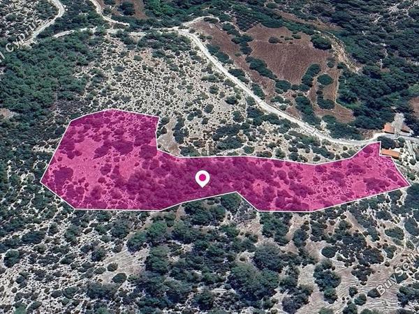 land for sale archimandrita paphos 8629706 image 15869603