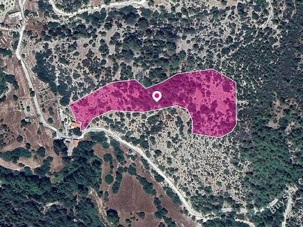 land for sale archimandrita paphos 8629706 image 15869604