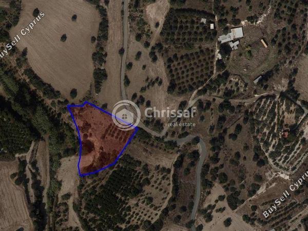 land for sale kalavasos larnaca 1658706 image 5847251