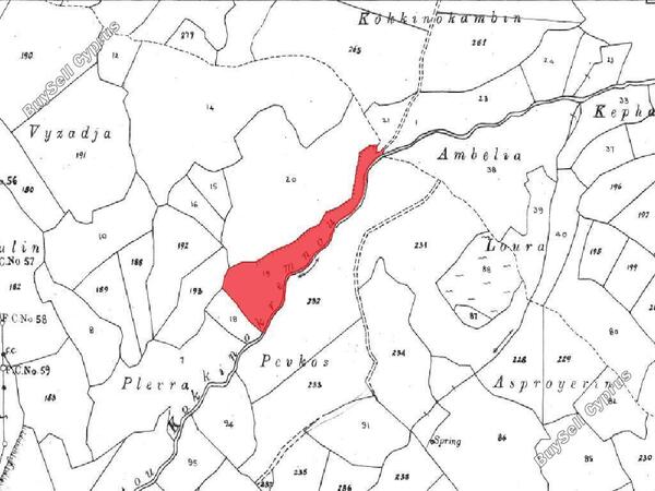 land for sale neo chorio paphos 822706 image 3340129