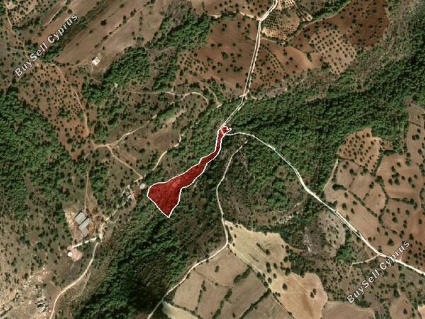 land for sale neo chorio paphos 822706 image 3403957