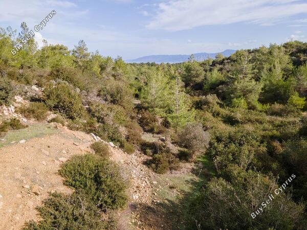 land for sale neo chorio paphos 822706 image 3403959